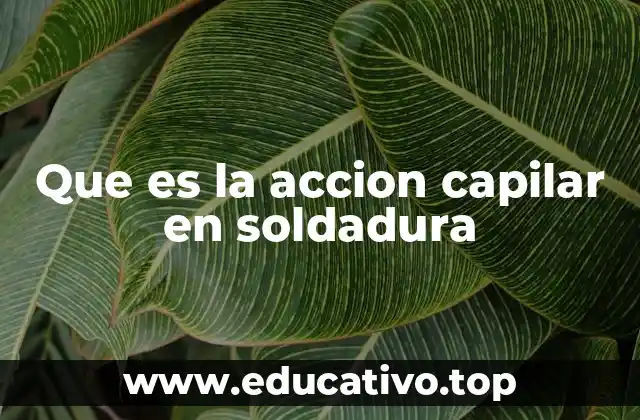 Que es la accion capilar en soldadura