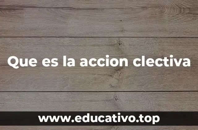 Que es la accion clectiva