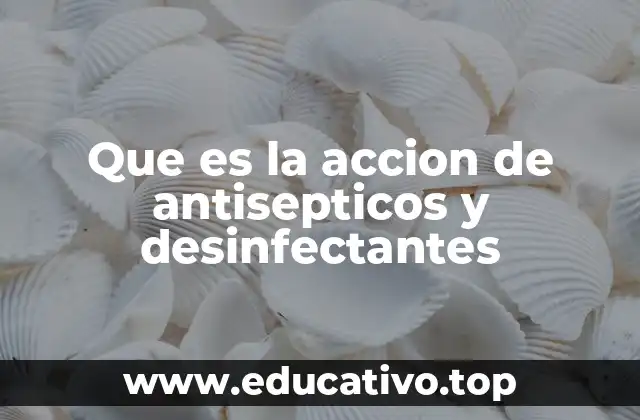 Que es la accion de antisepticos y desinfectantes