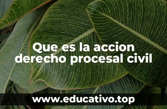 Que es la accion derecho procesal civil