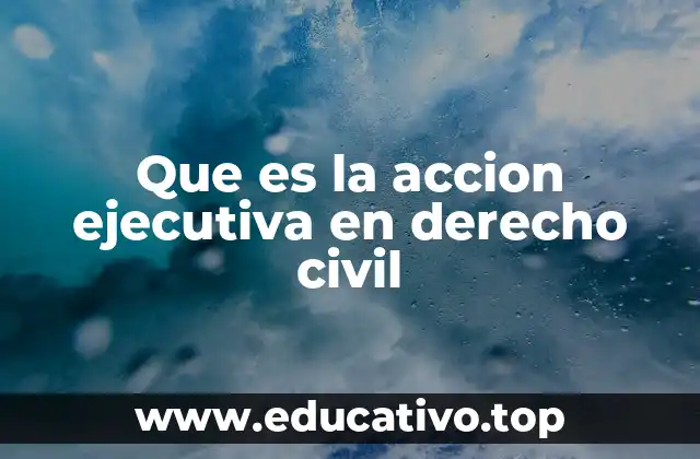 Que es la accion ejecutiva en derecho civil