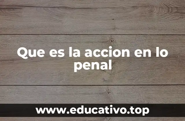 Que es la accion en lo penal