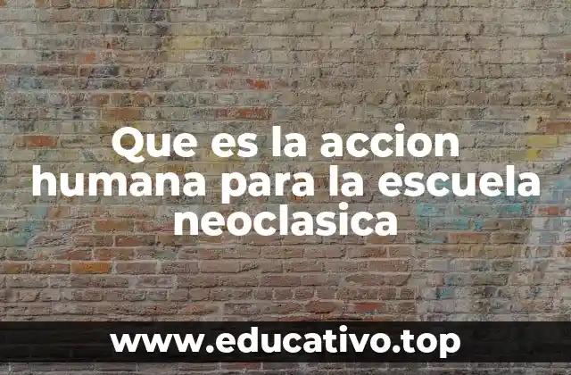 Que es la accion humana para la escuela neoclasica