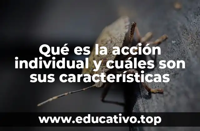 Qué es la acción individual y cuáles son sus características