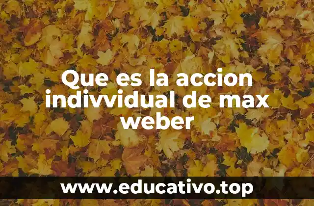 La base filosófica y sociológica de la acción individual