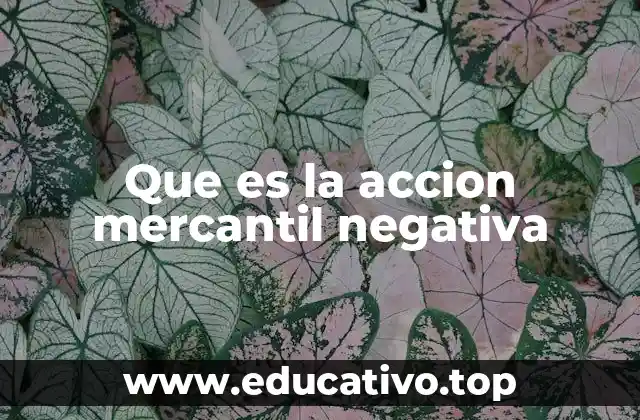Que es la accion mercantil negativa