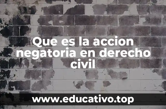 Que es la accion negatoria en derecho civil