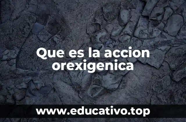 Que es la accion orexigenica