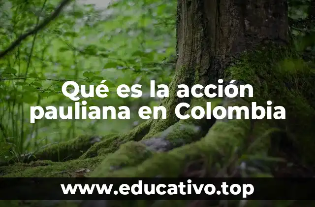 Qué es la acción pauliana en Colombia