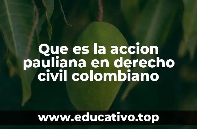 Que es la accion pauliana en derecho civil colombiano