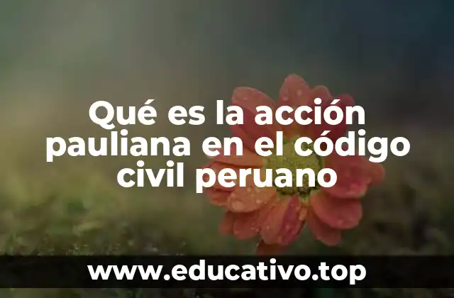 Qué es la acción pauliana en el código civil peruano