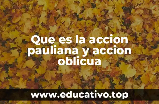 Que es la accion pauliana y accion oblicua