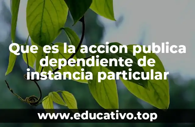 Que es la accion publica dependiente de instancia particular