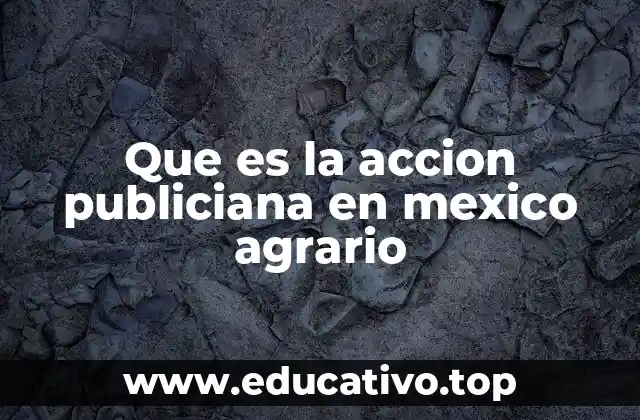 Que es la accion publiciana en mexico agrario