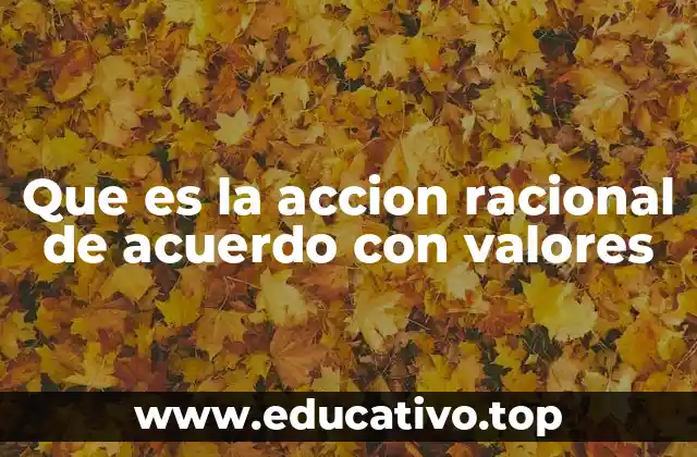 Que es la accion racional de acuerdo con valores