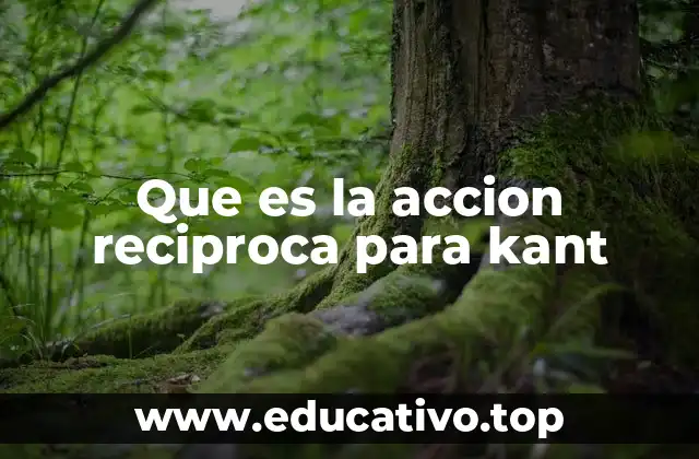 Que es la accion reciproca para kant