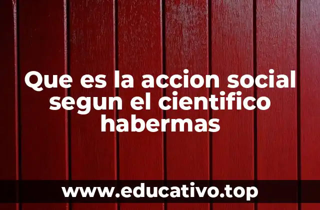 Que es la accion social segun el cientifico habermas