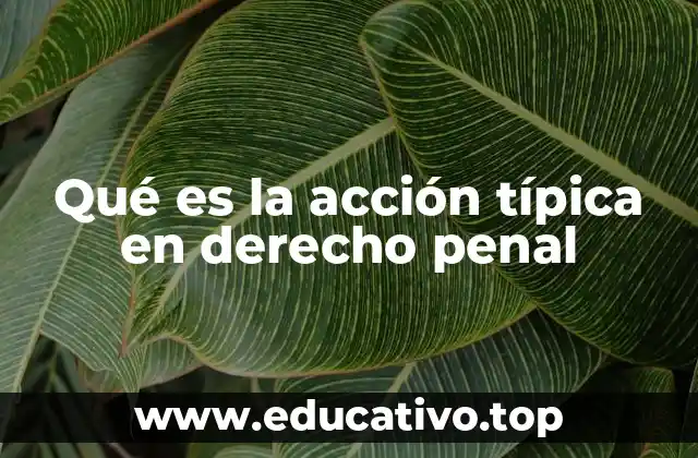 Qué es la acción típica en derecho penal