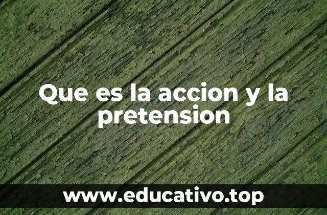 Que es la accion y la pretension