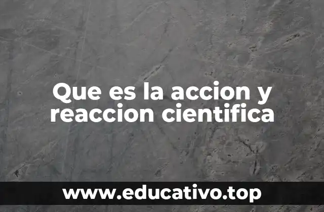 Que es la accion y reaccion cientifica