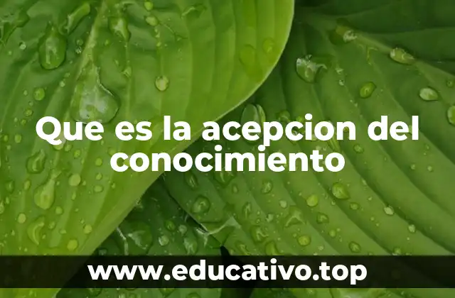 Que es la acepcion del conocimiento