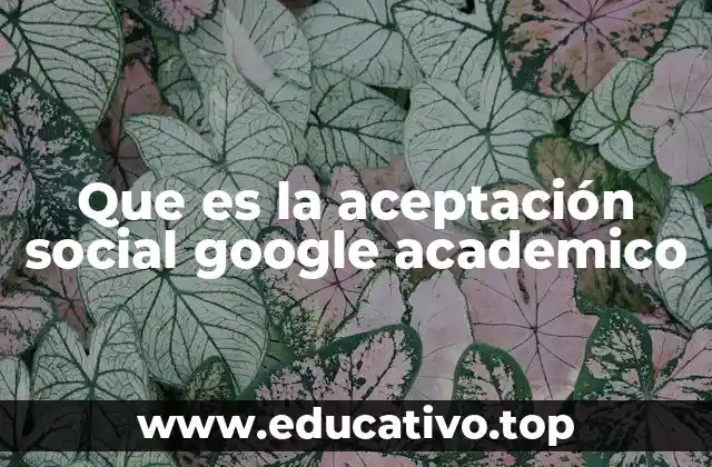 Que es la aceptación social google academico