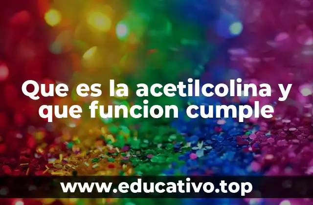 Que es la acetilcolina y que funcion cumple