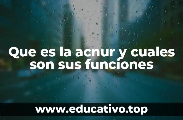 Que es la acnur y cuales son sus funciones