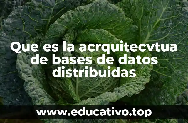 Que es la acrquitecvtua de bases de datos distribuidas