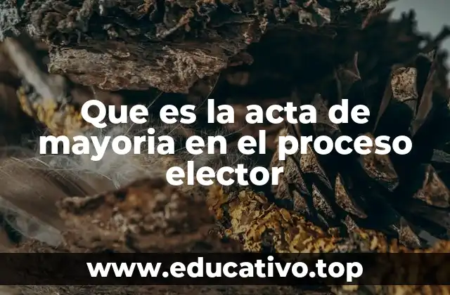 Que es la acta de mayoria en el proceso elector