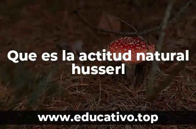 El mundo como experiencia inmediata