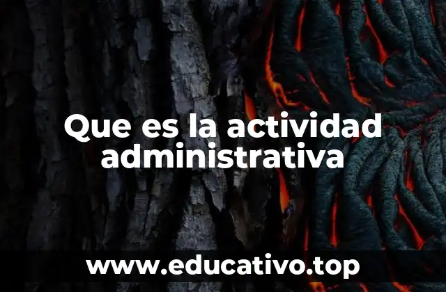 Que es la actividad administrativa