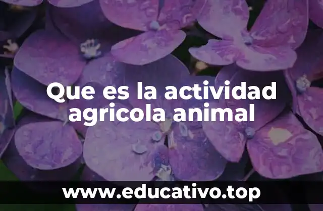 Que es la actividad agricola animal