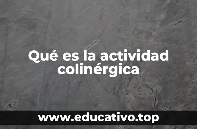 Qué es la actividad colinérgica