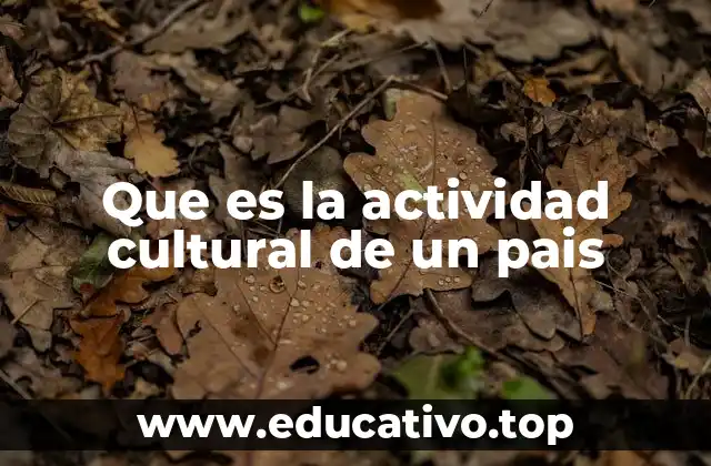 Que es la actividad cultural de un pais