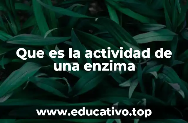 Que es la actividad de una enzima
