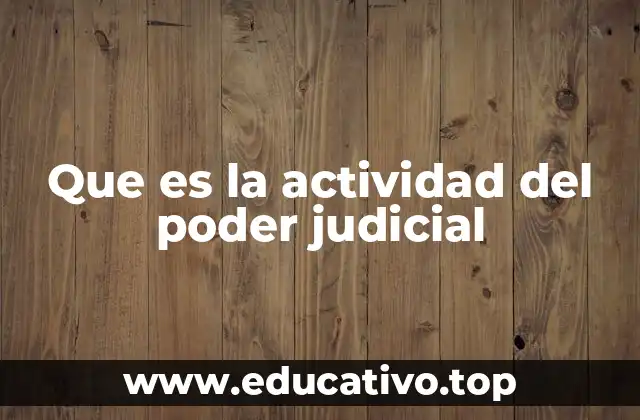 Que es la actividad del poder judicial