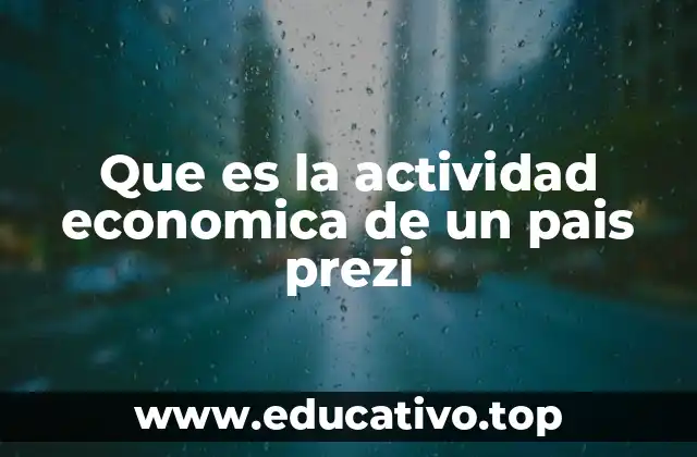 Que es la actividad economica de un pais prezi
