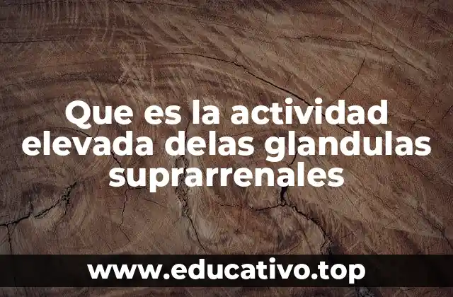 Funciones normales de las glándulas suprarrenales y su importancia