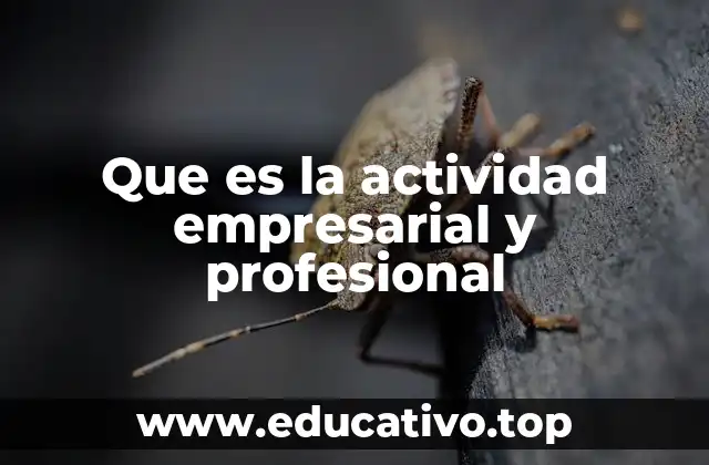 Que es la actividad empresarial y profesional