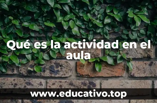 Qué es la actividad en el aula