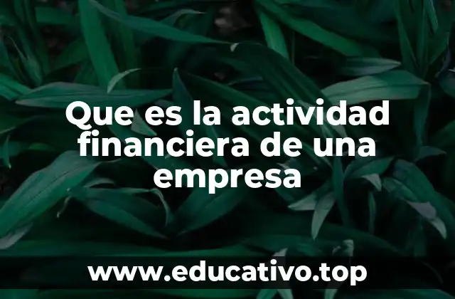 Que es la actividad financiera de una empresa