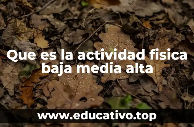 Que es la actividad fisica baja media alta