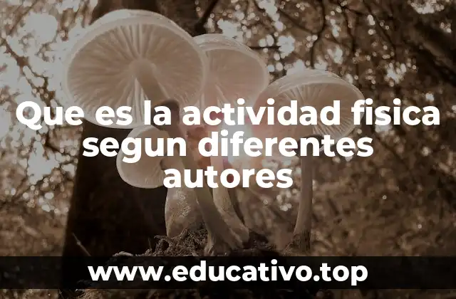 Que es la actividad fisica segun diferentes autores