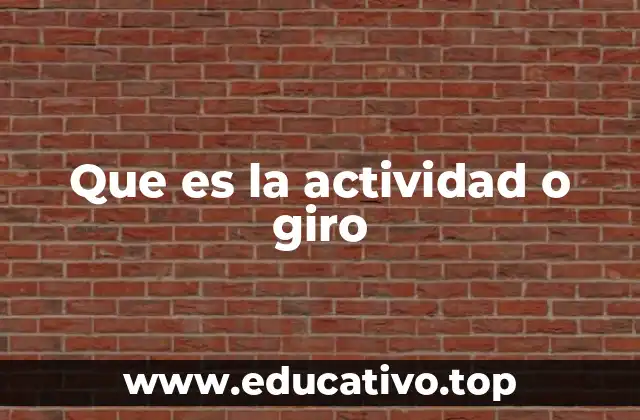 Que es la actividad o giro