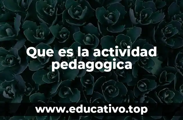 Que es la actividad pedagogica