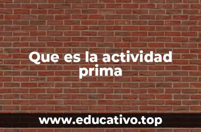 Que es la actividad prima