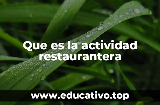 Que es la actividad restaurantera