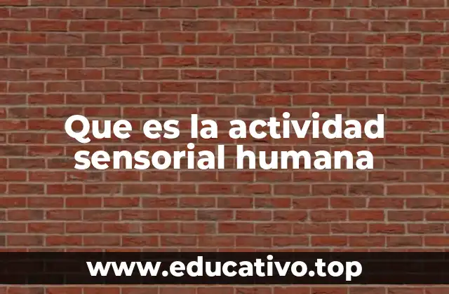 Que es la actividad sensorial humana