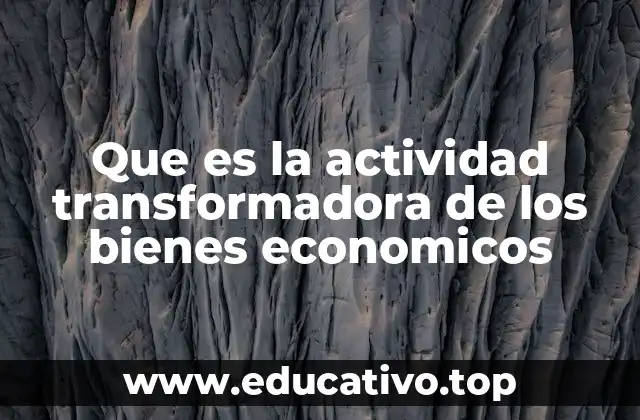 Que es la actividad transformadora de los bienes economicos